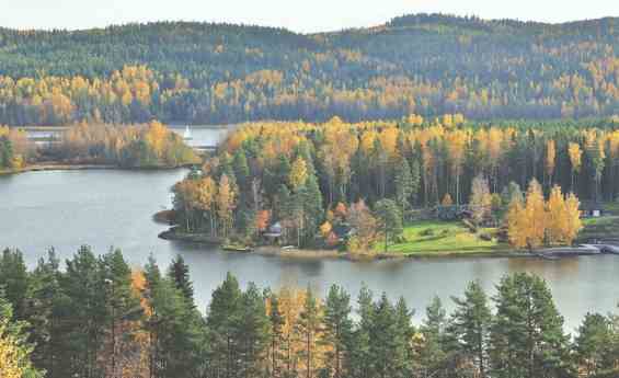 Озеро Пяйянне Золотая осень